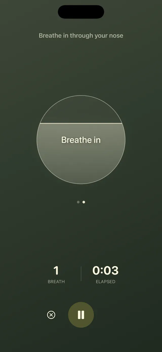 A breathing session in progress in Svasa, with a circle filling as the prompt reads “Breathe in”