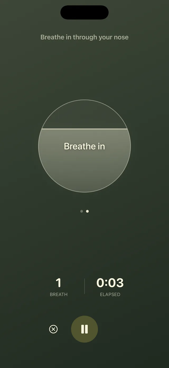 A breathing session in progress in Svasa, with a circle filling as the prompt reads “Breathe in”